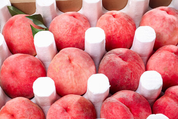 Freshly Picked Ripe Peaches in Protective Packaging Ready for Sale at Farmers Market