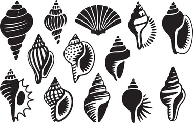 Seashells Vector Set with Detailed Line Work and Natural Form Variations