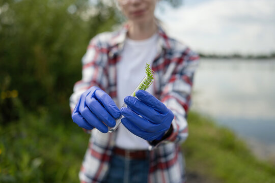 Young biologist examining plant sample in nature