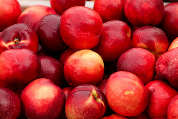 Fresh Red Nectarines from Dalian Orchard - Ripe Stone Fruit Harvest
