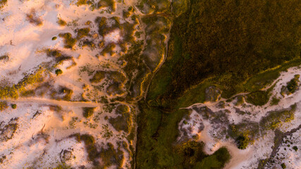 Aerial view of golden sands meeting dark green marshlands, a top-down scene of a tapestry of contrasting textures under the soft light. Chatham, Cape Cod, Massachusetts, United States.