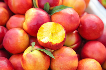 Fresh Red Nectarines from Dalian Shanxi Orchard - Ripe Stone Fruit with Yellow Flesh