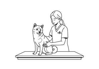 Female veterinarian examining a Shiba Inu dog with care and attention in a veterinary clinic