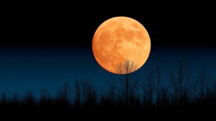 illustration depicting a spooky Halloween night under a bright orange moon surrounded by dark silhouettes of trees