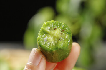 Fresh Mini Kiwi Fruit Cross Section Held in Hand Close-up