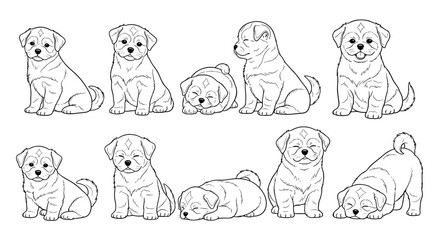 Ten adorable Shih Tzu puppies in various playful poses, showcasing their charm and cuteness