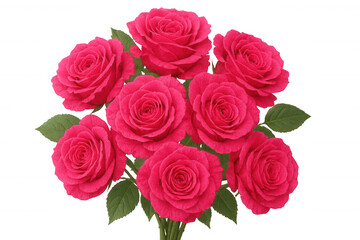 Pink roses in full bloom, delicate petals spreading, transparent backdrop highlighting elegant floral composition