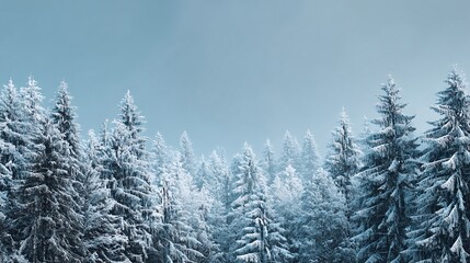 Obraz premium Majestic snowy forest under pale blue sky inviting a sense of calm and winter's embrace