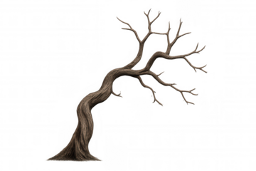 Gnarled leafless tree with transparent background reaching out, creating a dramatic and eerie atmosphere