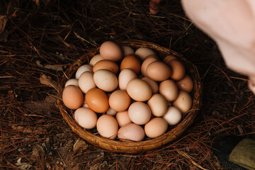 Fresh Farm Eggs in Wicker Basket on Straw Ground - Organic Free Range Chicken Eggs Collection