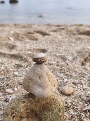 photo of piles of rocks and seashells
