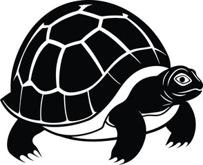 Black and White Turtle Illustration with Detailed Shell Pattern and Gentle Expression on white background