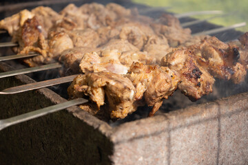 Juicy slices of meat prepare on the fire. Tasty shish kebab on skewers. Grilled marinated barbecue...