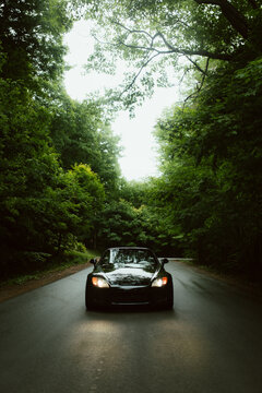 Vintage convertible driving through lush green forest
