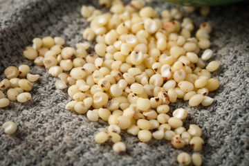 Fresh White Sorghum Grains on Stone Surface - Healthy Cereal Crop and Organic Farm Produce