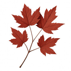 Fototapeta premium - Red maple leaves on branch, botanical photo, red, autumn decor