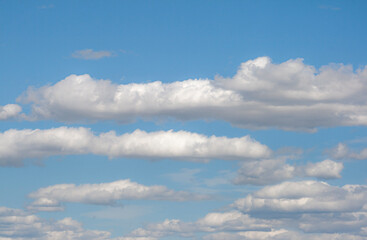 Long, cottony-looking cumulus clouds with clearly defined edges, aligned in scattered rows in a blue sky, disappearing over the horizon, indicating good weather