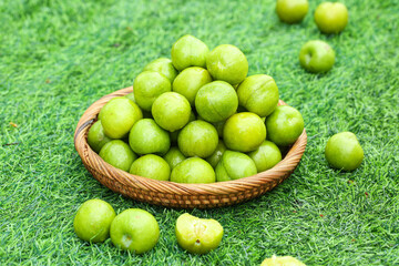 Fresh Green Plums in Wicker Basket on Grass - Healthy Organic Stone Fruit Harvest