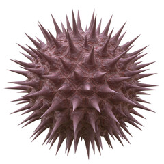 Spiky organic urchin with sharp pointed spikes and rough textured surface in brownish color, detailed close up view