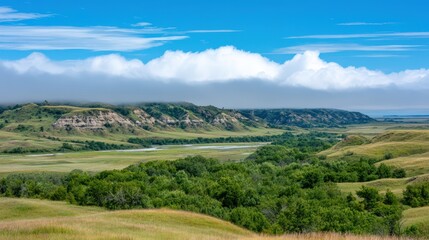 Fototapeta premium A misty morning in a rolling prairie, fog lifting over endless green hills, soft sunlight breaking through, peaceful and expansive mood, fine art landscape photography
