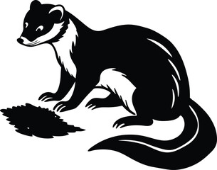 Black and White Illustration of a Stoat Also Known as an Ermine on white background