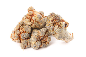 Wenshan Panax Pseudoginseng Chinese Herbs Closeup Display - Traditional Medicine Roots