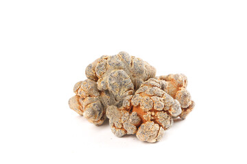 Panax Pseudoginseng Wenshan Ginseng Roots White Background Traditional Chinese Medicine Herb