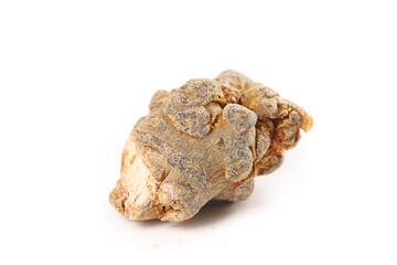 Wenshan Panax Pseudoginseng Chinese Herb Root Traditional Medicine Isolated White Background