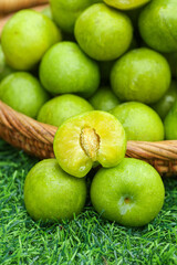 Fresh Green Plums in Basket - Healthy Organic Stone Fruit with Yellow Flesh