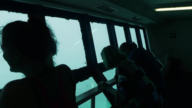 Ocean viewing experience on a submarine tour