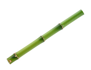 Fototapeta premium A single green bamboo stalk or cane, isolated on a white background, natural material.