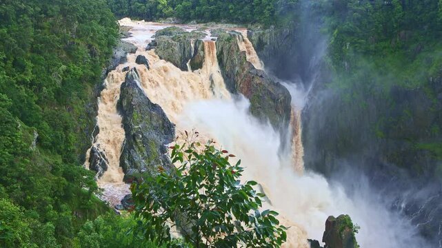 Barron Falls in lush Australian rainforest scenery