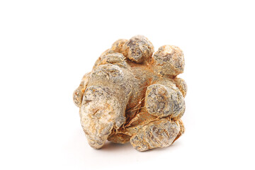 Panax Pseudoginseng Roots from Wenshan Yunnan China - Traditional Chinese Medicine Herb on White Background