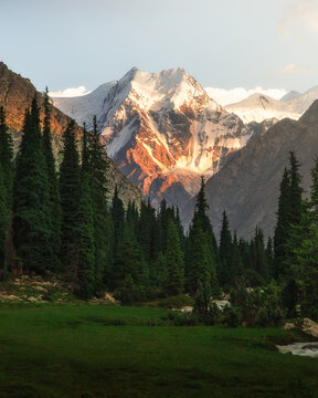 View of snow-capped mountain peaks glowing with warm sunlight amidst rugged terrain, framed by lush green forests and meadows, Boris Yelstin Peak, Karakol, Issyk-Kul Region, Kyrgyzstan.