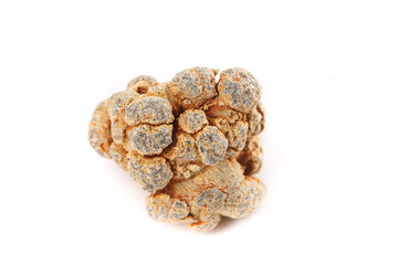 Panax Pseudoginseng Heads - Farm-Grown Herbal Medicine from Wenshan, Yunnan, China