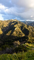 Obraz premium Mountain landscape with shadows and wildflowers