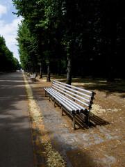 A tranquil park with lush green trees and modern benches
