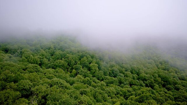 Drone glides gracefully over fog-covered mountain ridges.
