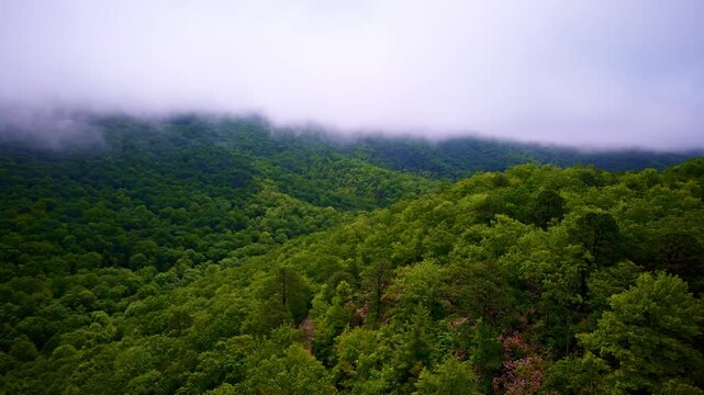 Cinematic overhead flight through fog-laced landscapes.
