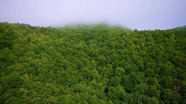 Drone footage capturing fog hugging the mountainsides.