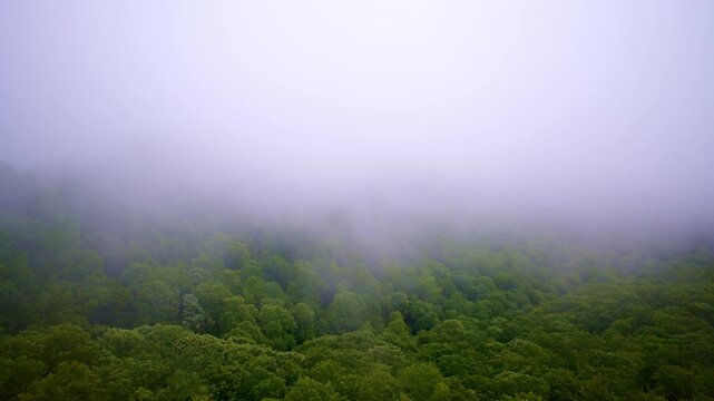 Cinematic drone movement through misty highlands.