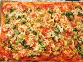 Tasty homemade organic vegetarian pizza on a baking plate