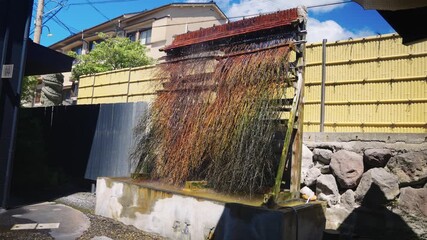 Beppu Hot Springs, Bamboo Branches Cooling Geothermal Water, Japan