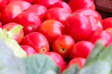Ripe tomatoes in a fresh vegetable shop