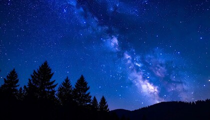 Night sky with milky way and forest