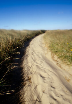 Sandy path to Cisco Beach on sunny day