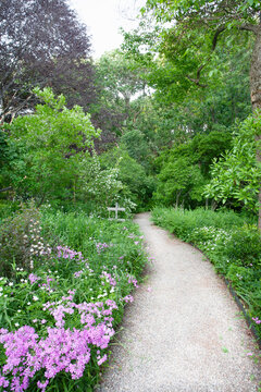 Stone path and flowers n rustic garden
