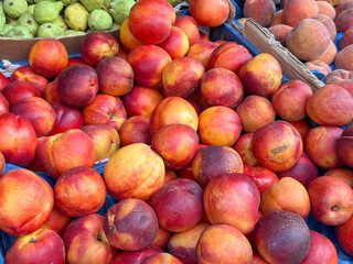 Fresh nectarines stacked at market stall. Harvest, nutrition, and seasonal fruit trade highlighting...