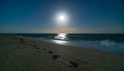 Obraz premium Moonlight beach scene with footprints