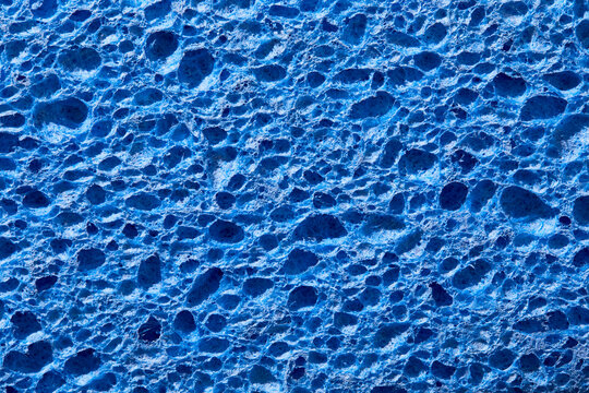 Close-up of blue sponge